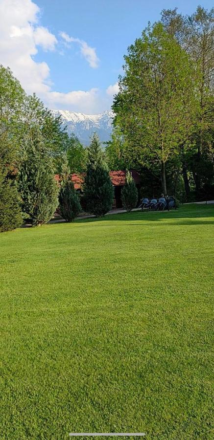 Garden Retreat Junior (Adults Only) Hotel Bran  Bagian luar foto
